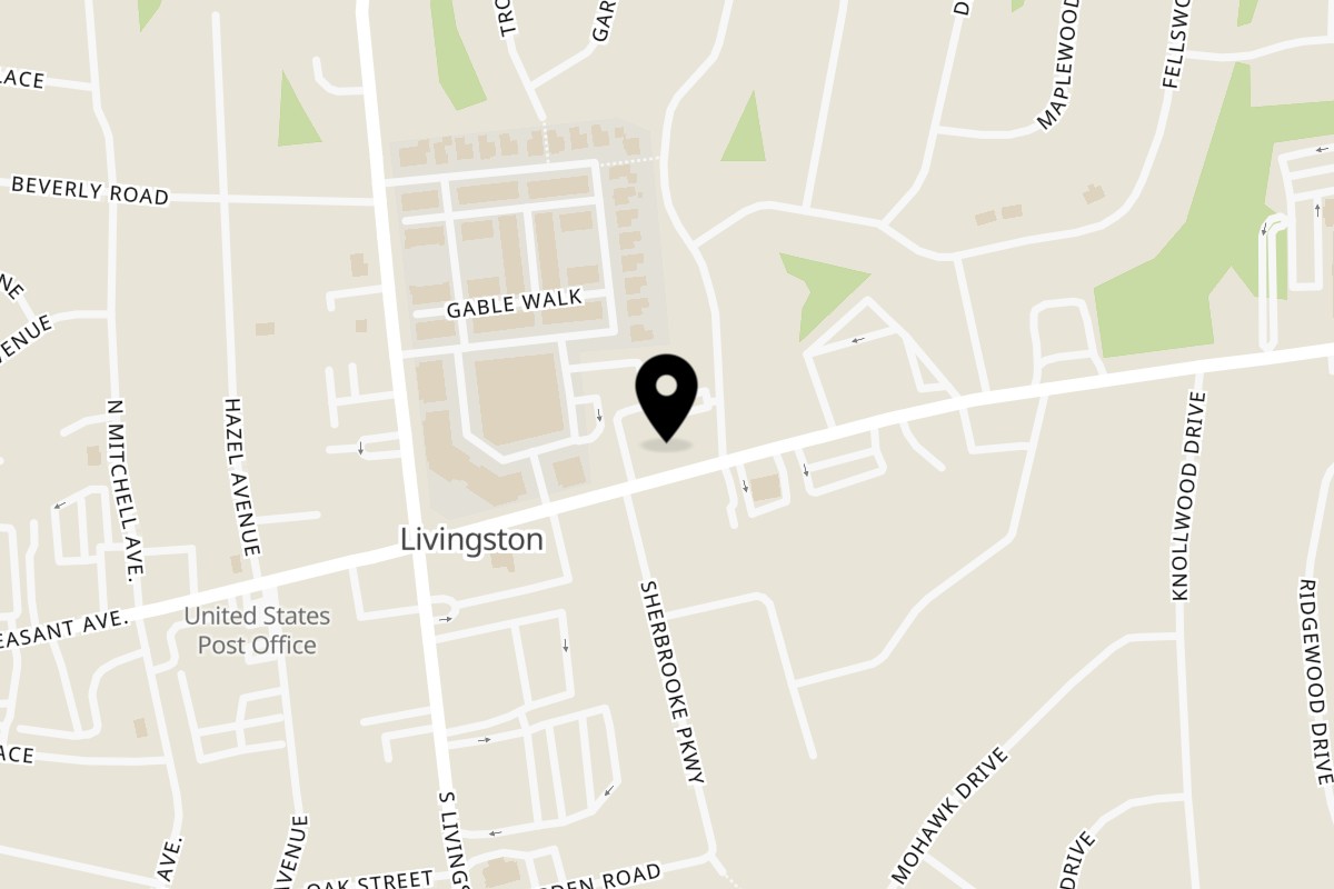 Map showing the location of Pasta Flavio on 55 E Mt Pleasant Ave in Livingston